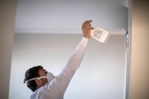 Best Certified Mold Removal  in Cashton, WI