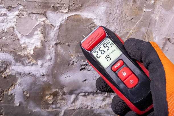 Water Damage Restoration in Cashton, WI
