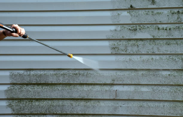Attic Mold Removal in Cashton, WI