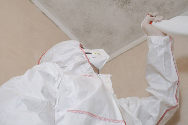 Best Mold Damage Repair  in Cashton, WI